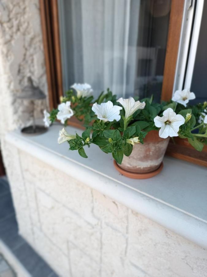 Aux Berges Du Canal Guest house *